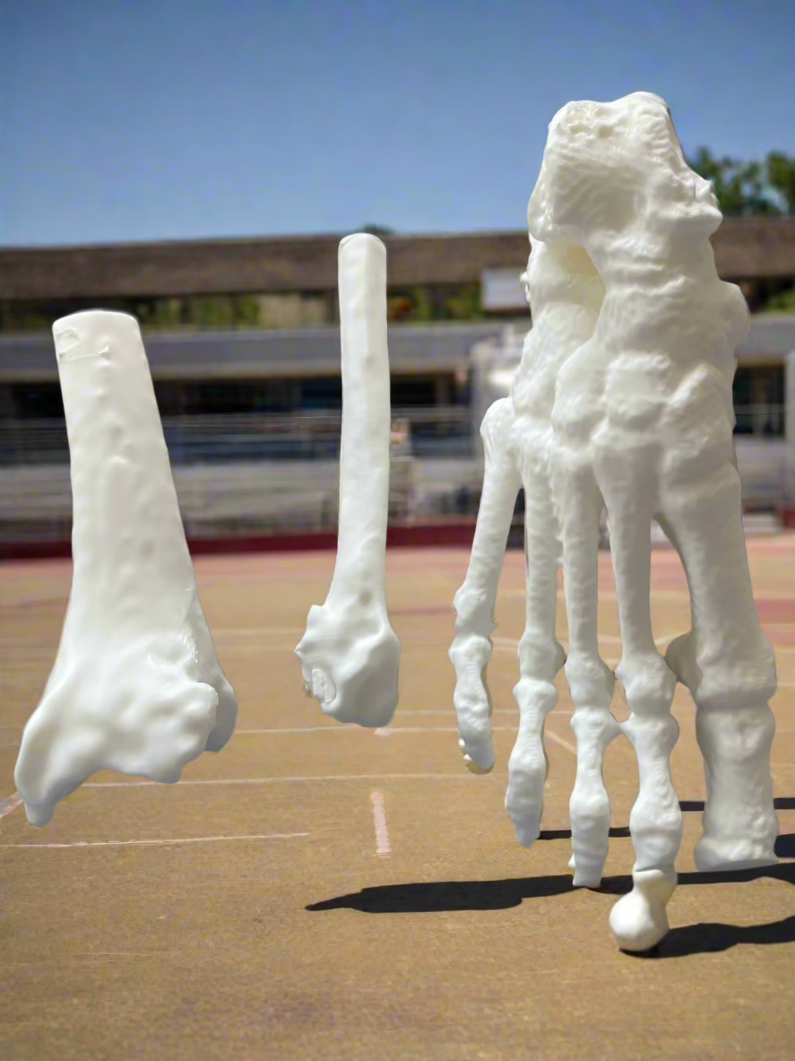 3D Printed Model – Bone-ified Models
