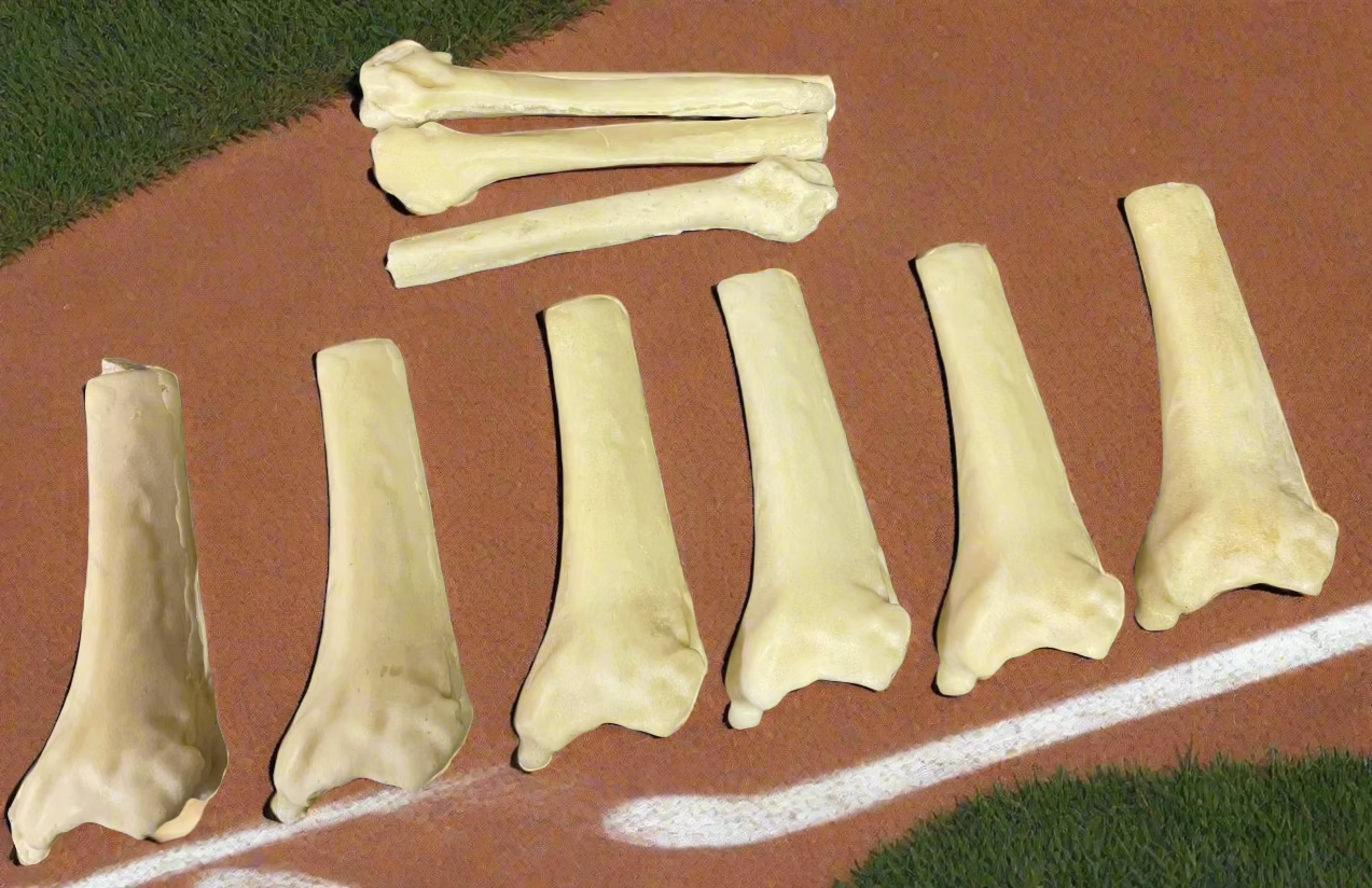 Extra bones – Bone-ified Models